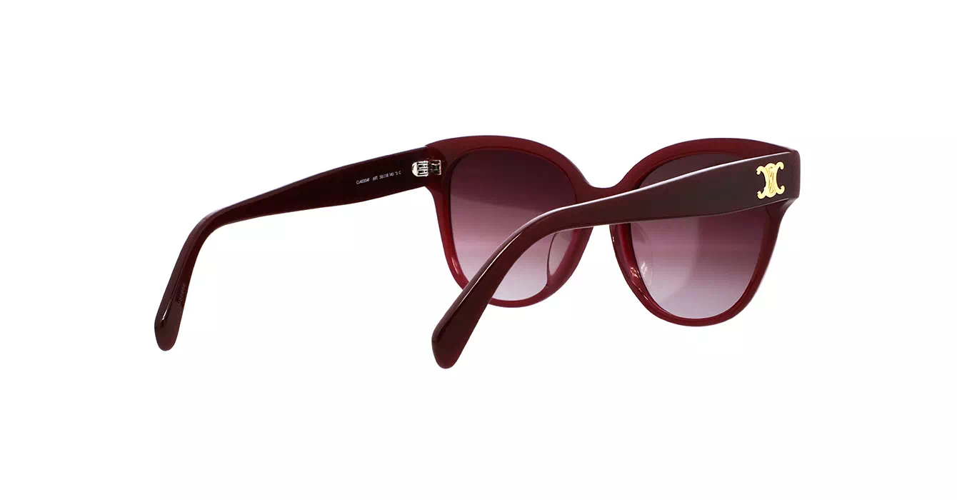 Celine CL40204F 69T s58