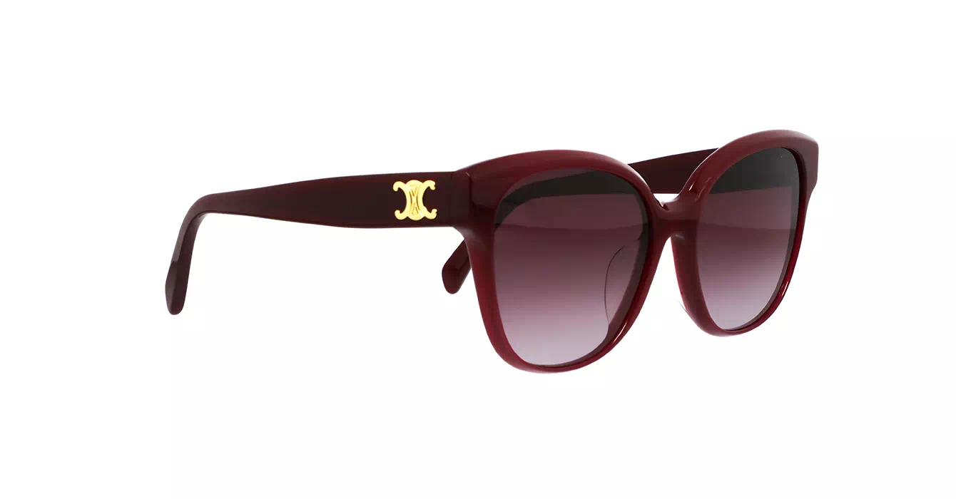 Celine CL40204F 69T s58