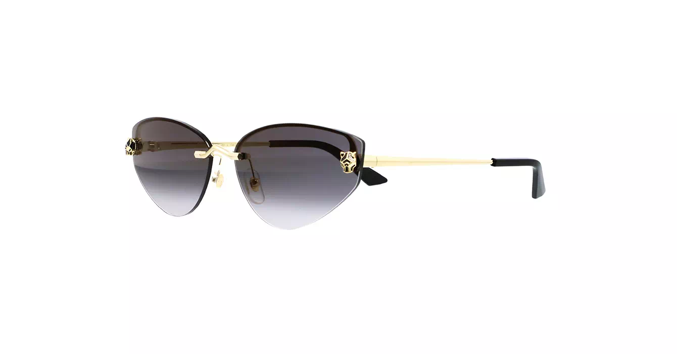 Cartier CT0431S 001 s65