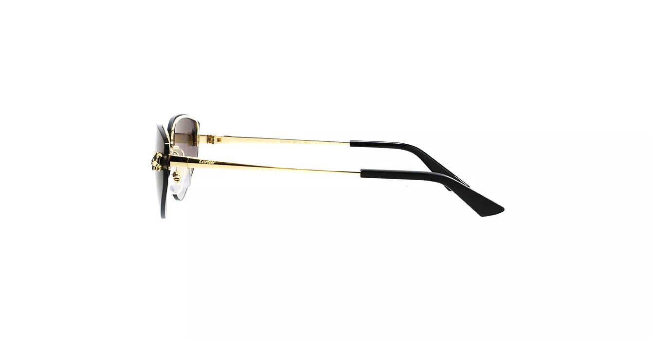 Cartier CT0431S 001 s65