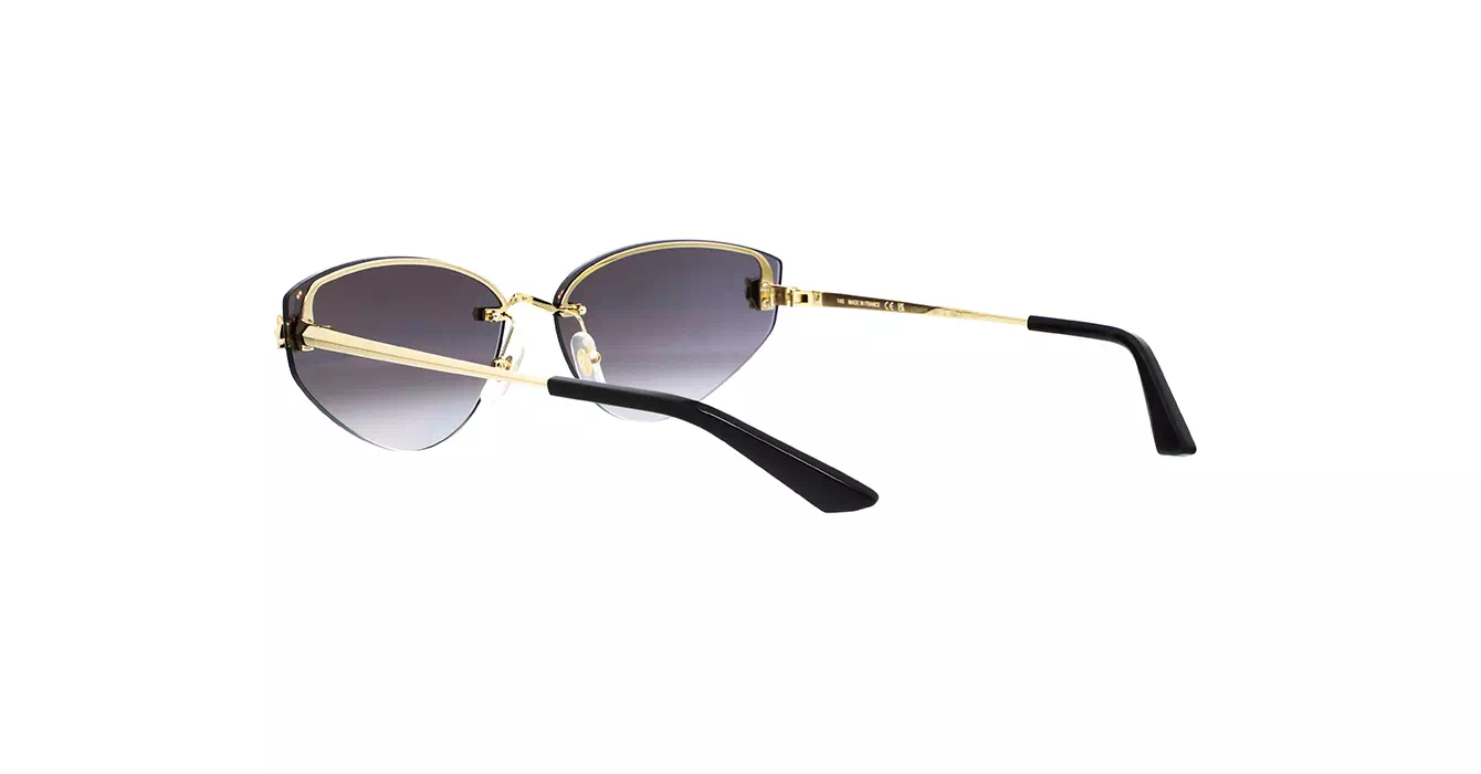 Cartier CT0431S 001 s65