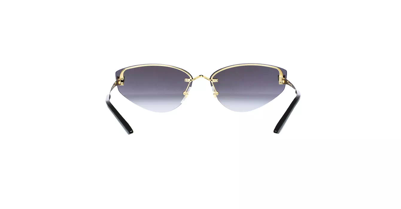 Cartier CT0431S 001 s65