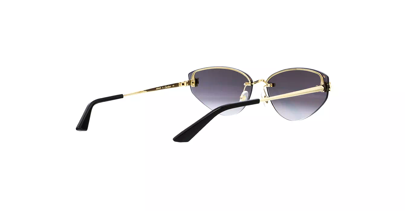 Cartier CT0431S 001 s65