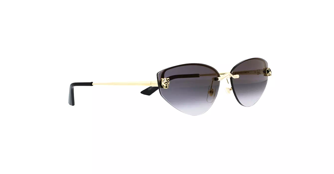 Cartier CT0431S 001 s65
