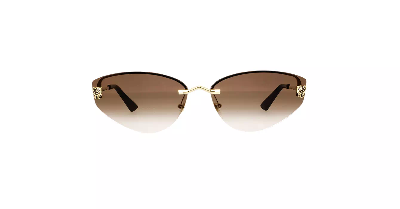 Cartier CT0431S 002 s65