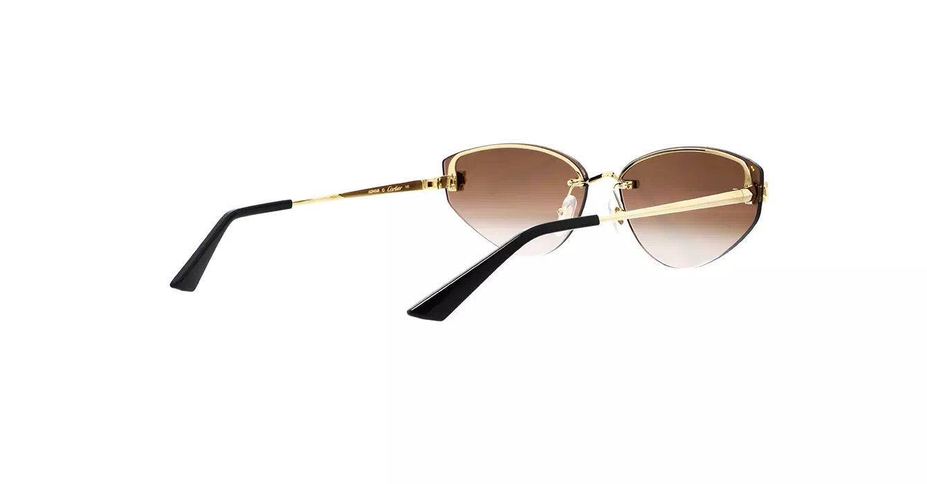Cartier CT0431S 002 s65