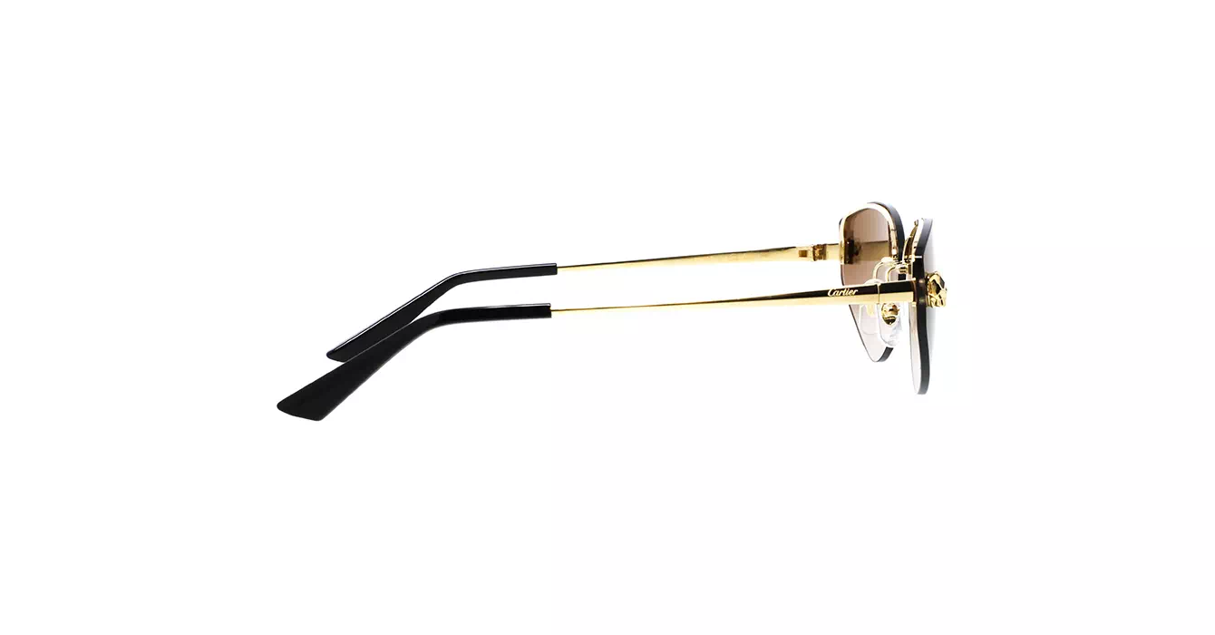 Cartier CT0431S 002 s65