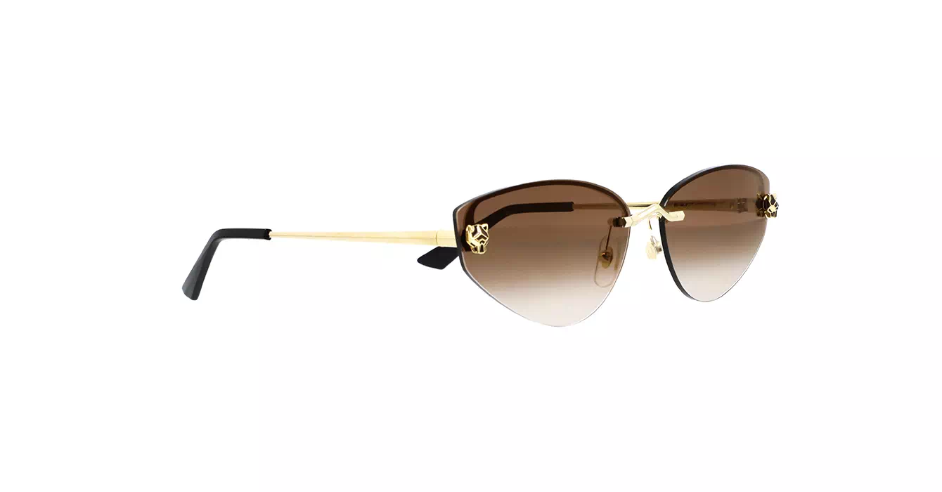 Cartier CT0431S 002 s65