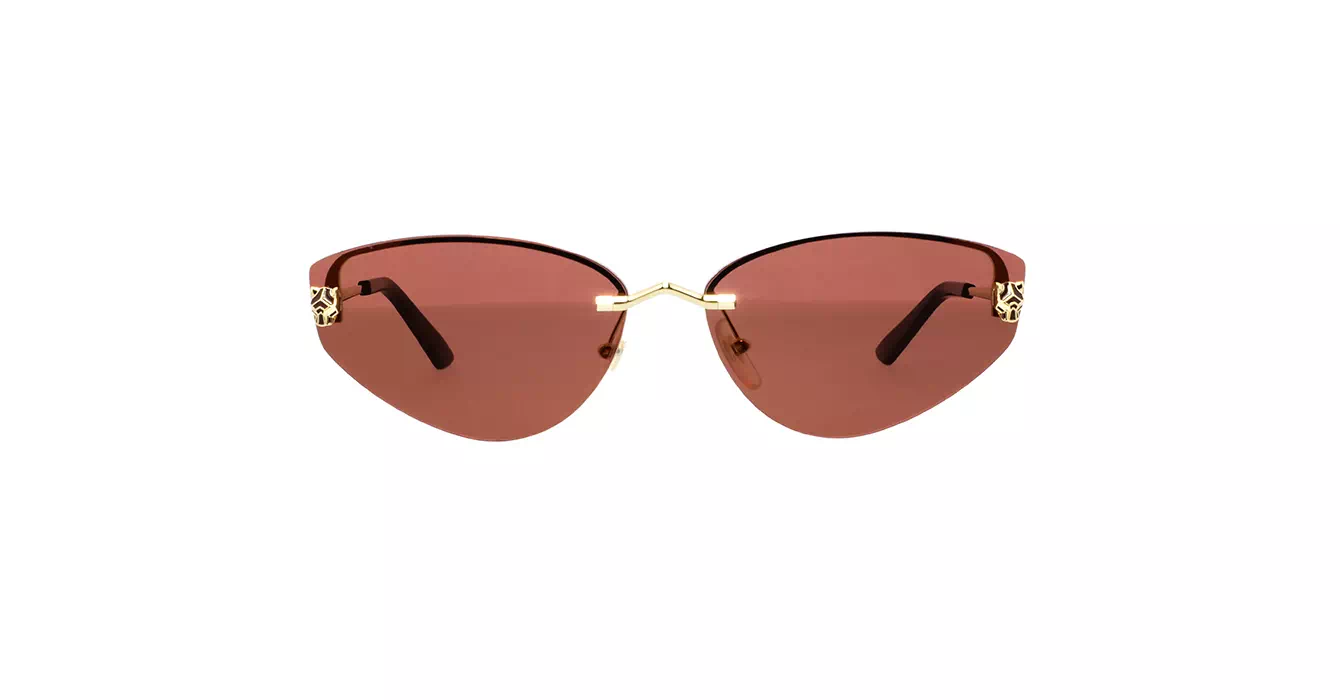 Cartier CT0431S 004s65