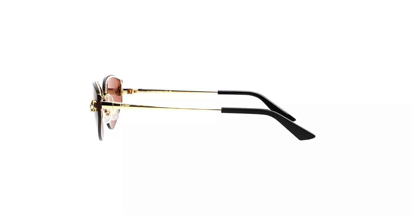 Cartier CT0431S 004s65
