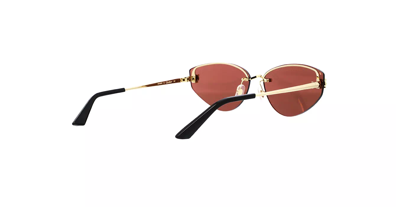 Cartier CT0431S 004s65
