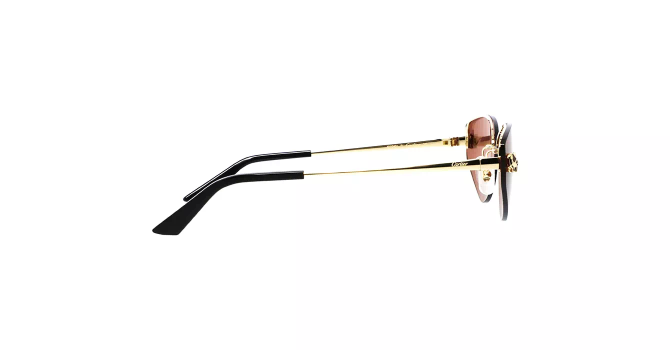 Cartier CT0431S 004s65