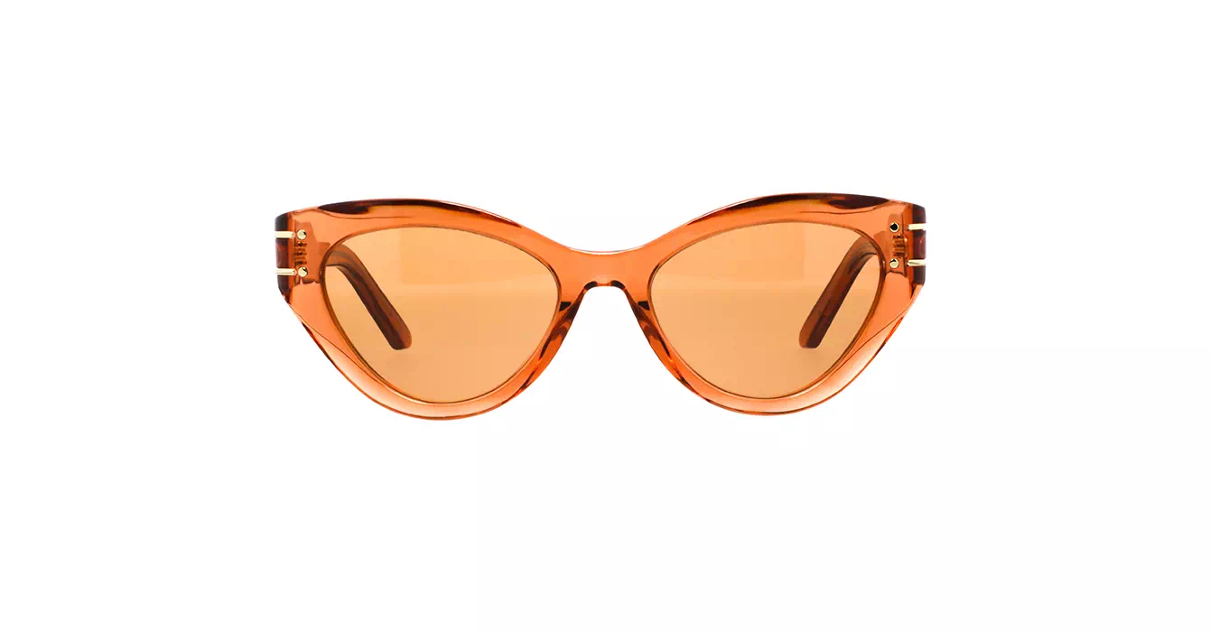 Dior Signature B7I CD40130I 70K0 s52