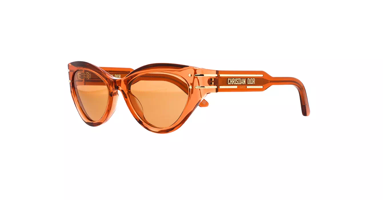 Dior Signature B7I CD40130I 70K0 s52