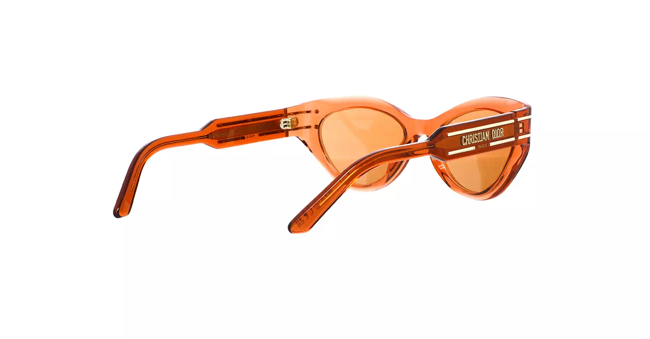 Dior Signature B7I CD40130I 70K0 s52