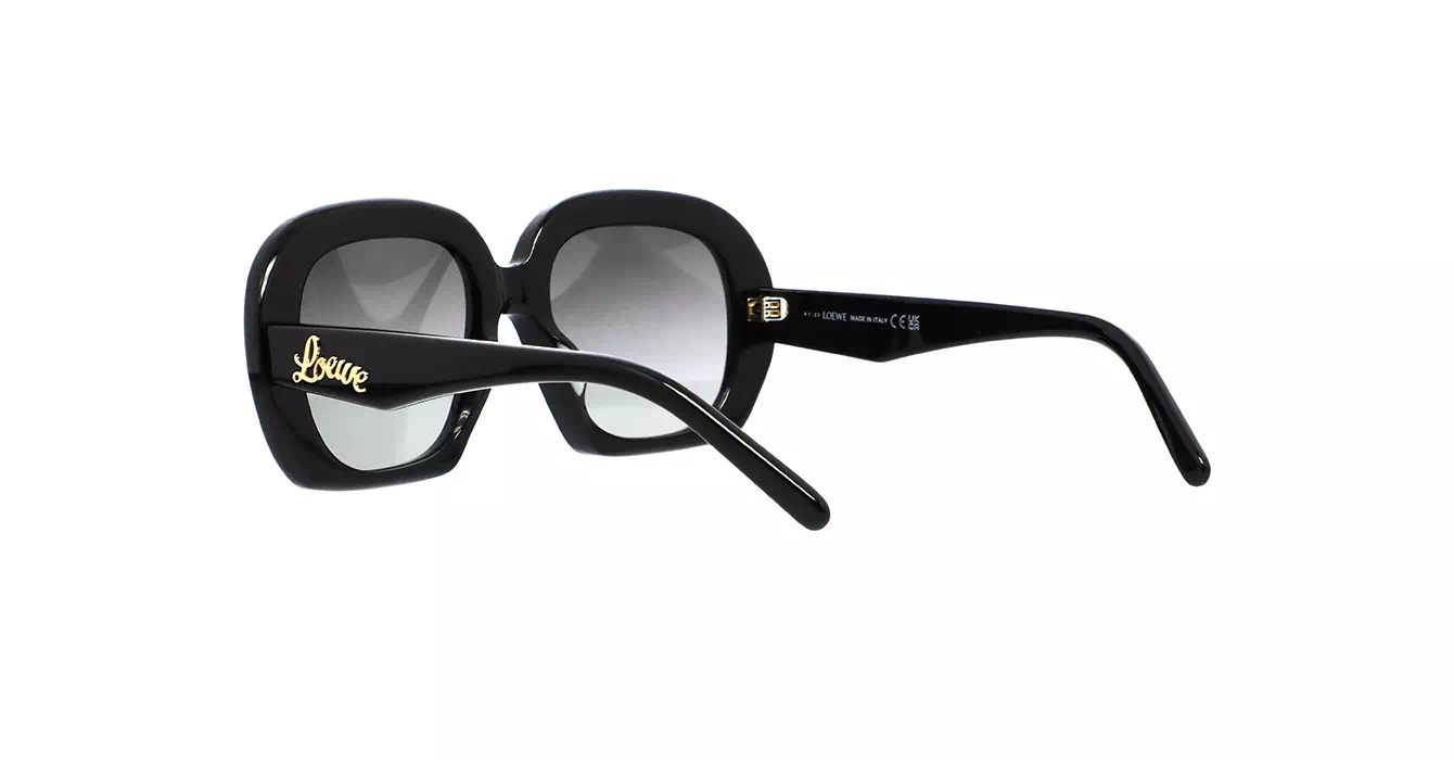 Loewe LW40113U 01B s53