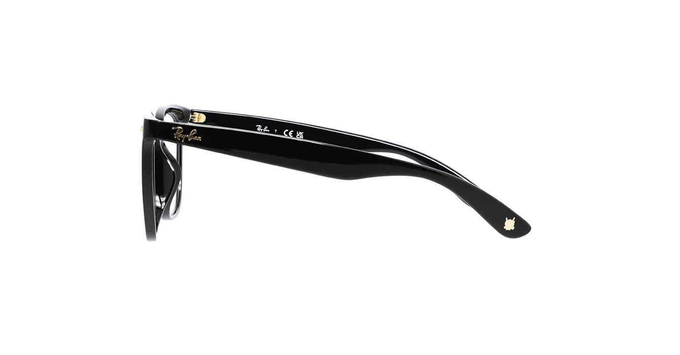 Ray-Ban RB4379VD 8343 s53