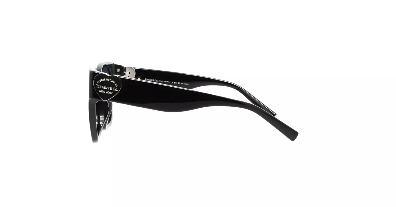 Tiffany&co TF4216-F 8394/4U s54