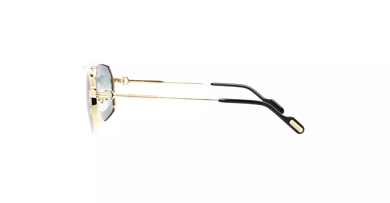 Cartier CT0270S 012 s61
