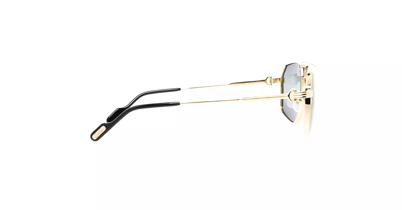 Cartier CT0270S 012 s61