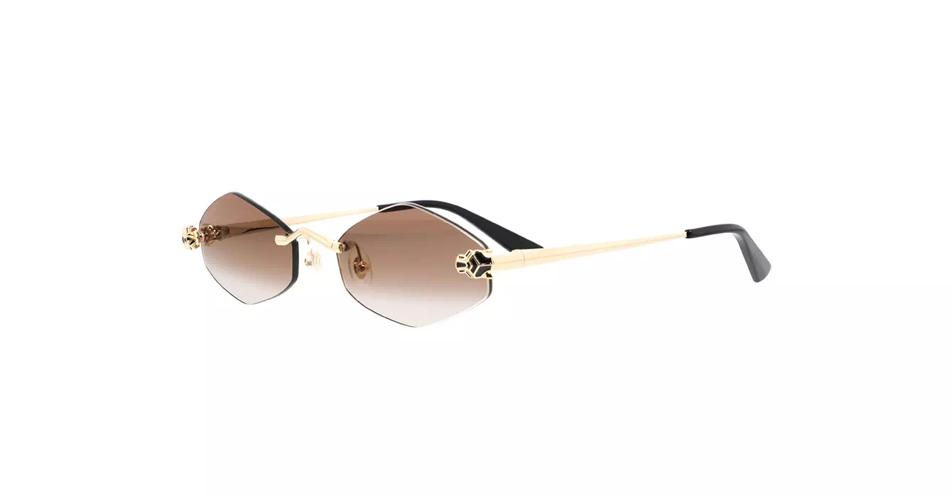 Cartier CT0433S 002 s55