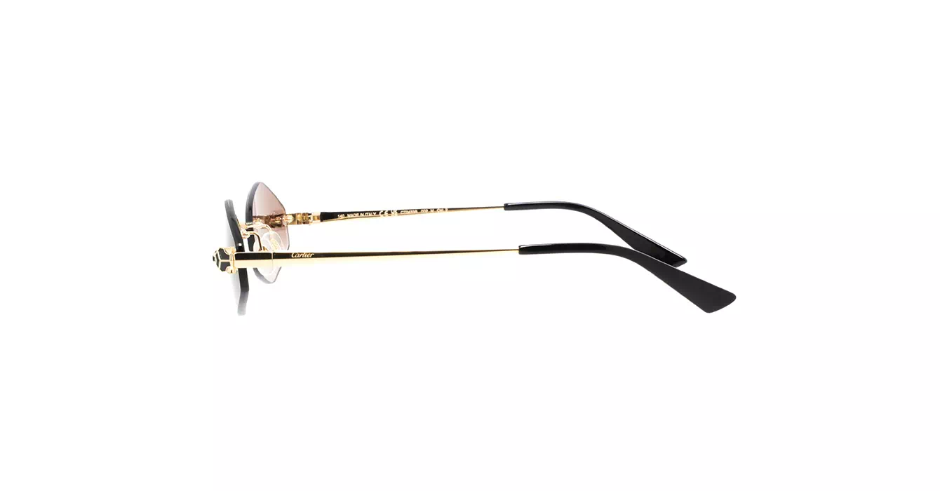 Cartier CT0433S 002 s55
