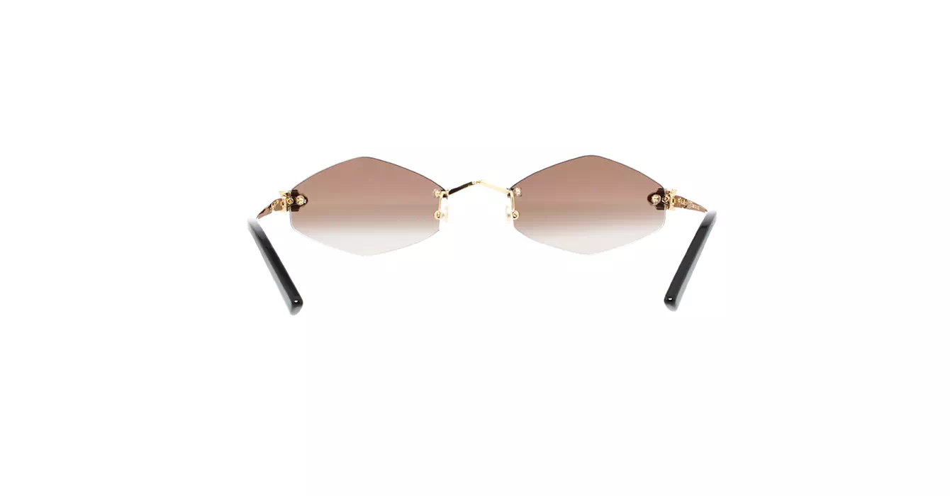 Cartier CT0433S 002 s55