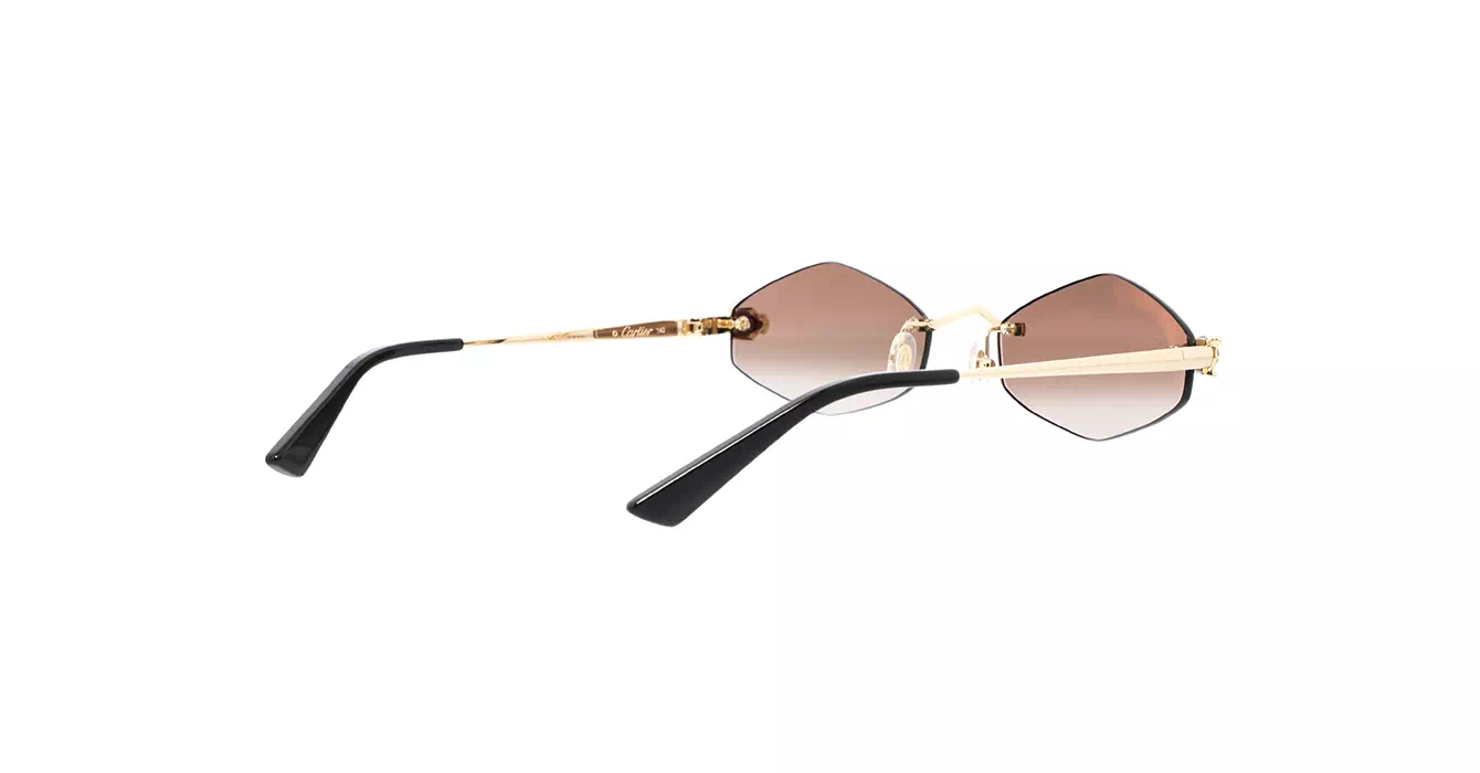 Cartier CT0433S 002 s55