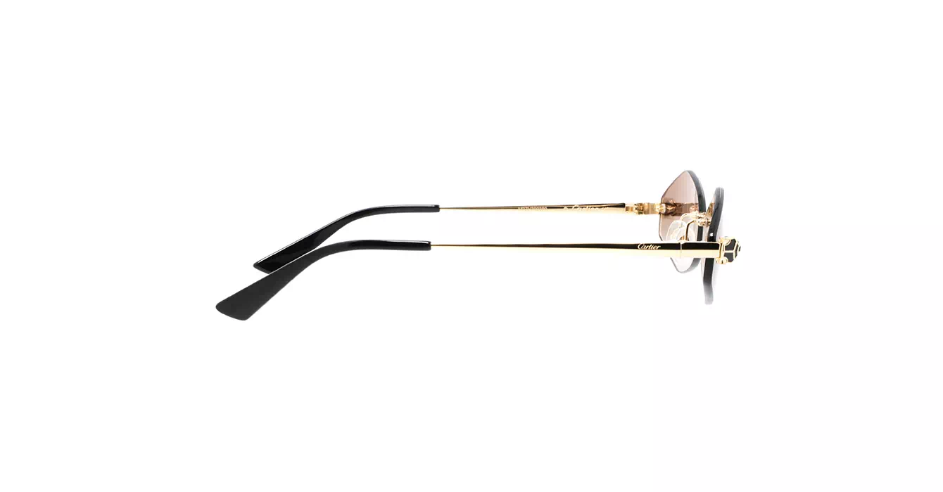 Cartier CT0433S 002 s55