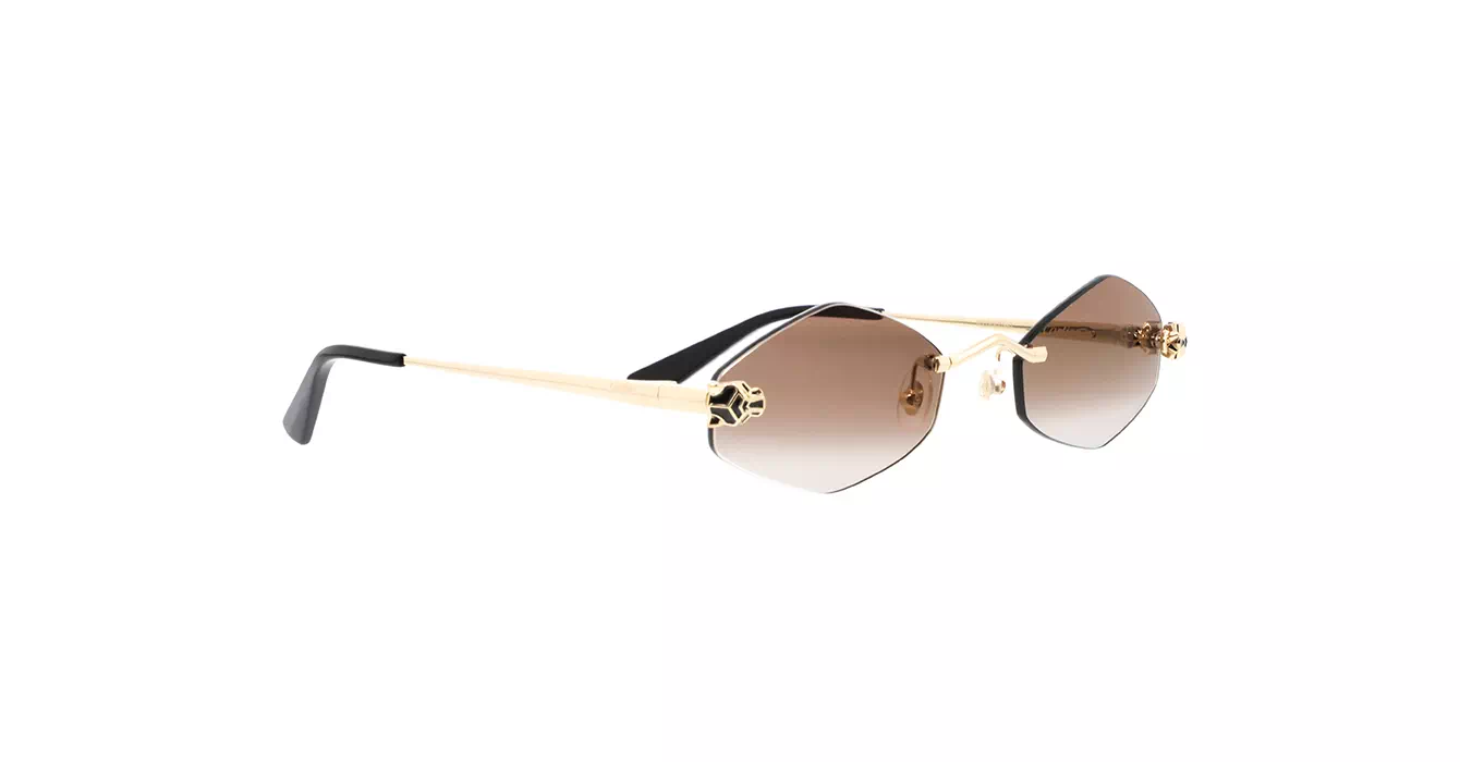 Cartier CT0433S 002 s55