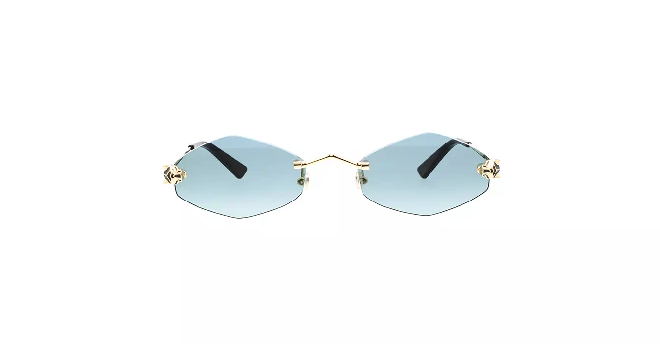 Cartier CT0433S 003 s55