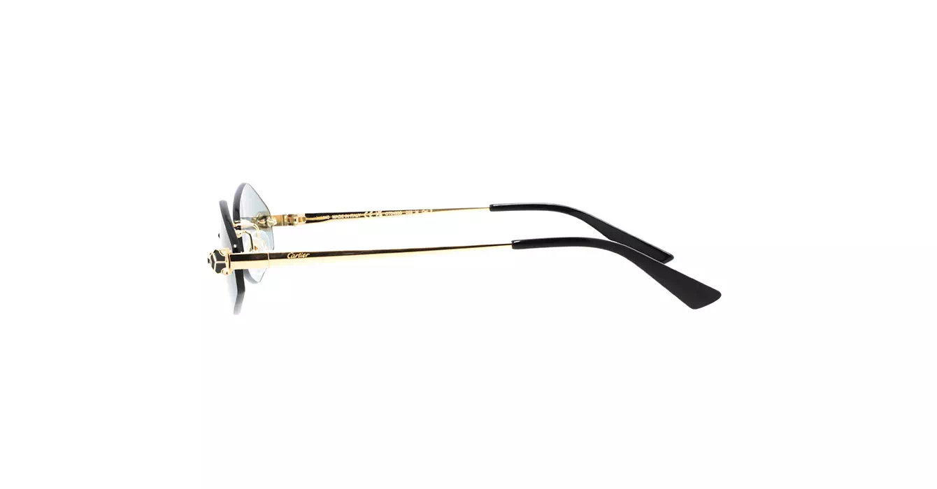 Cartier CT0433S 003 s55