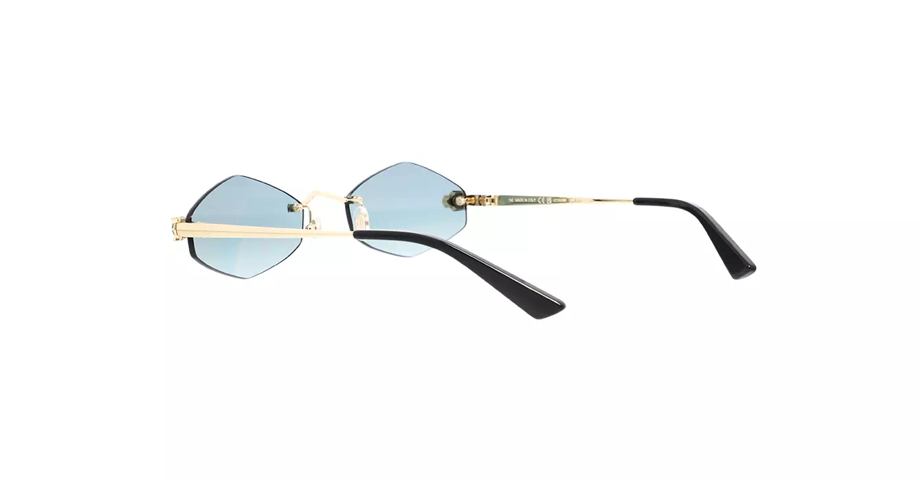 Cartier CT0433S 003 s55