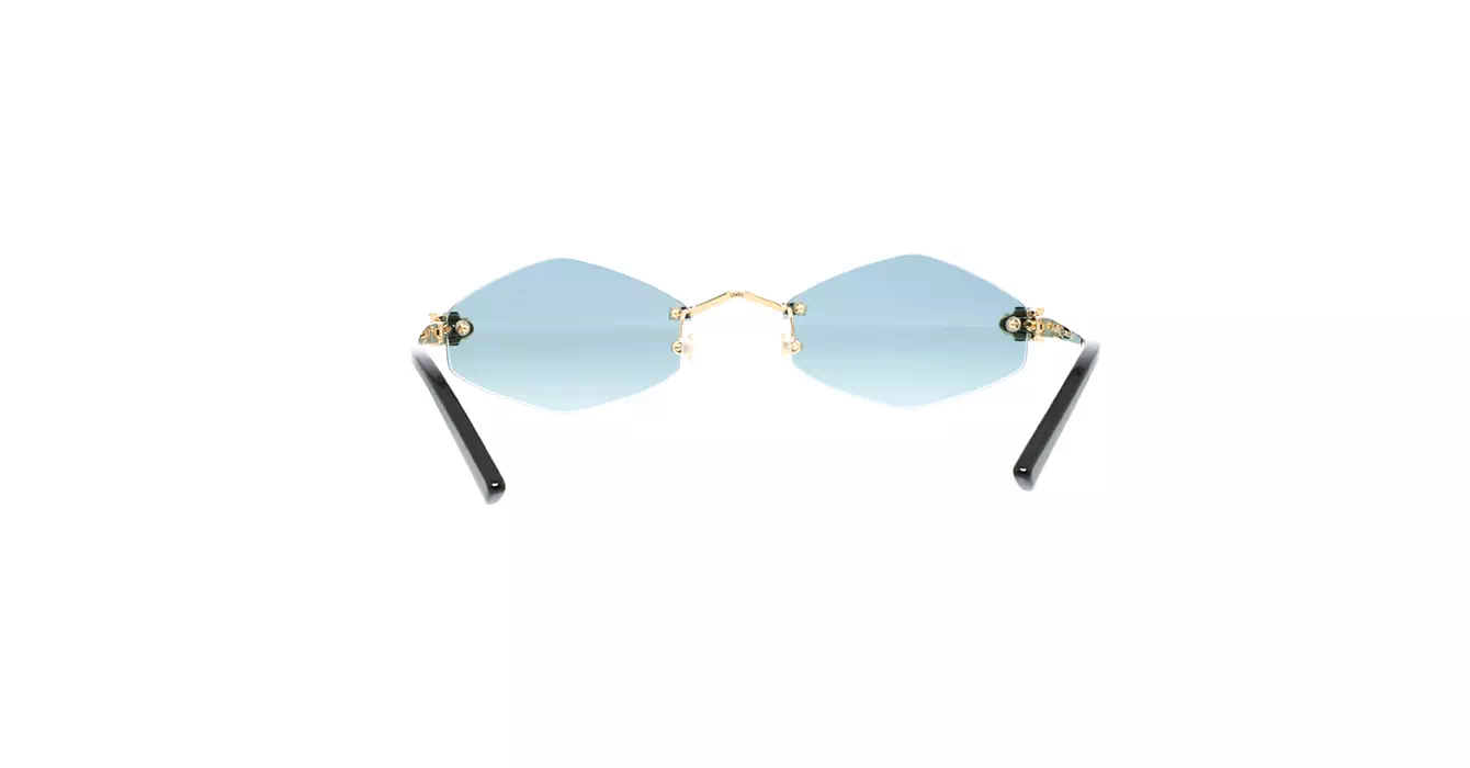 Cartier CT0433S 003 s55