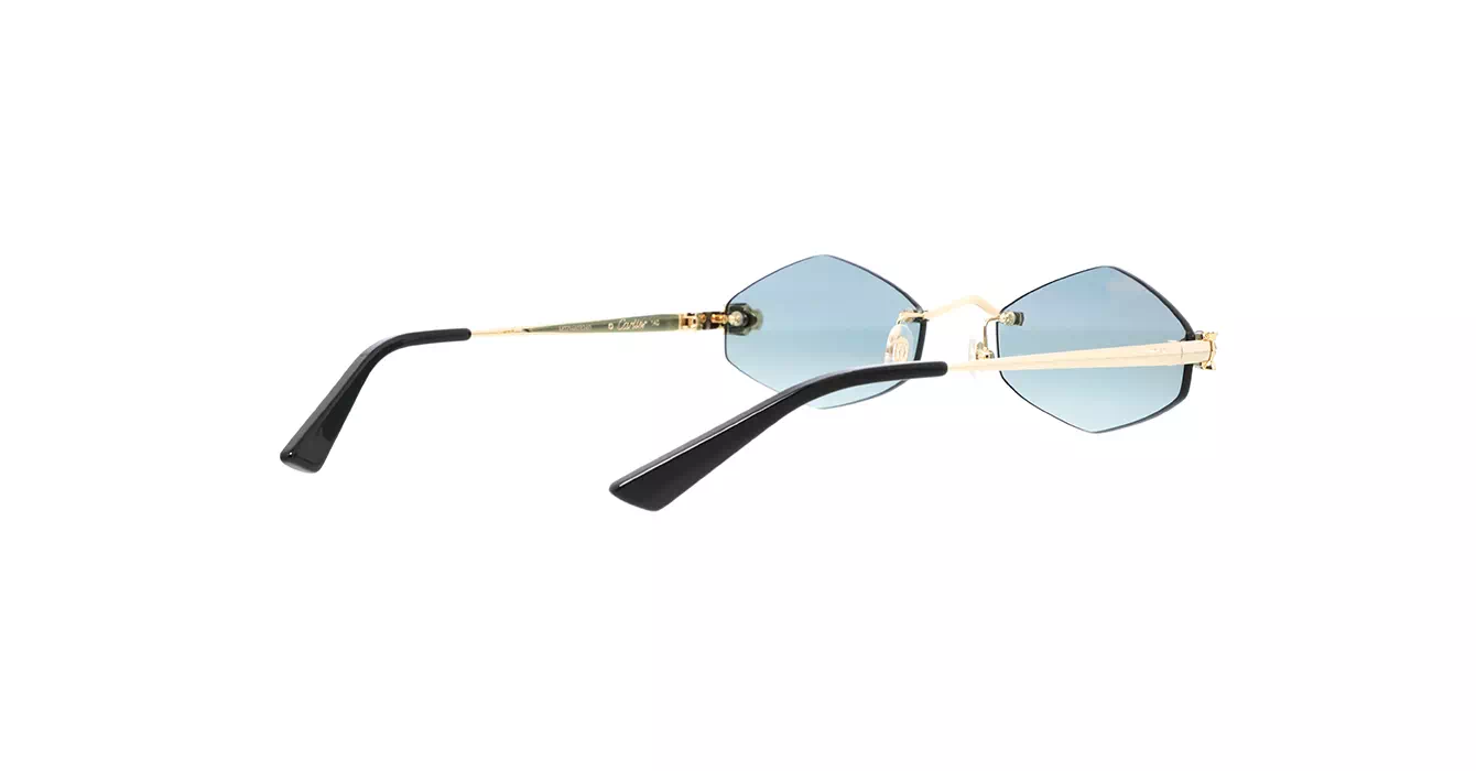 Cartier CT0433S 003 s55