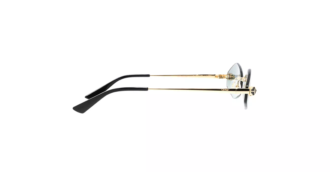 Cartier CT0433S 003 s55
