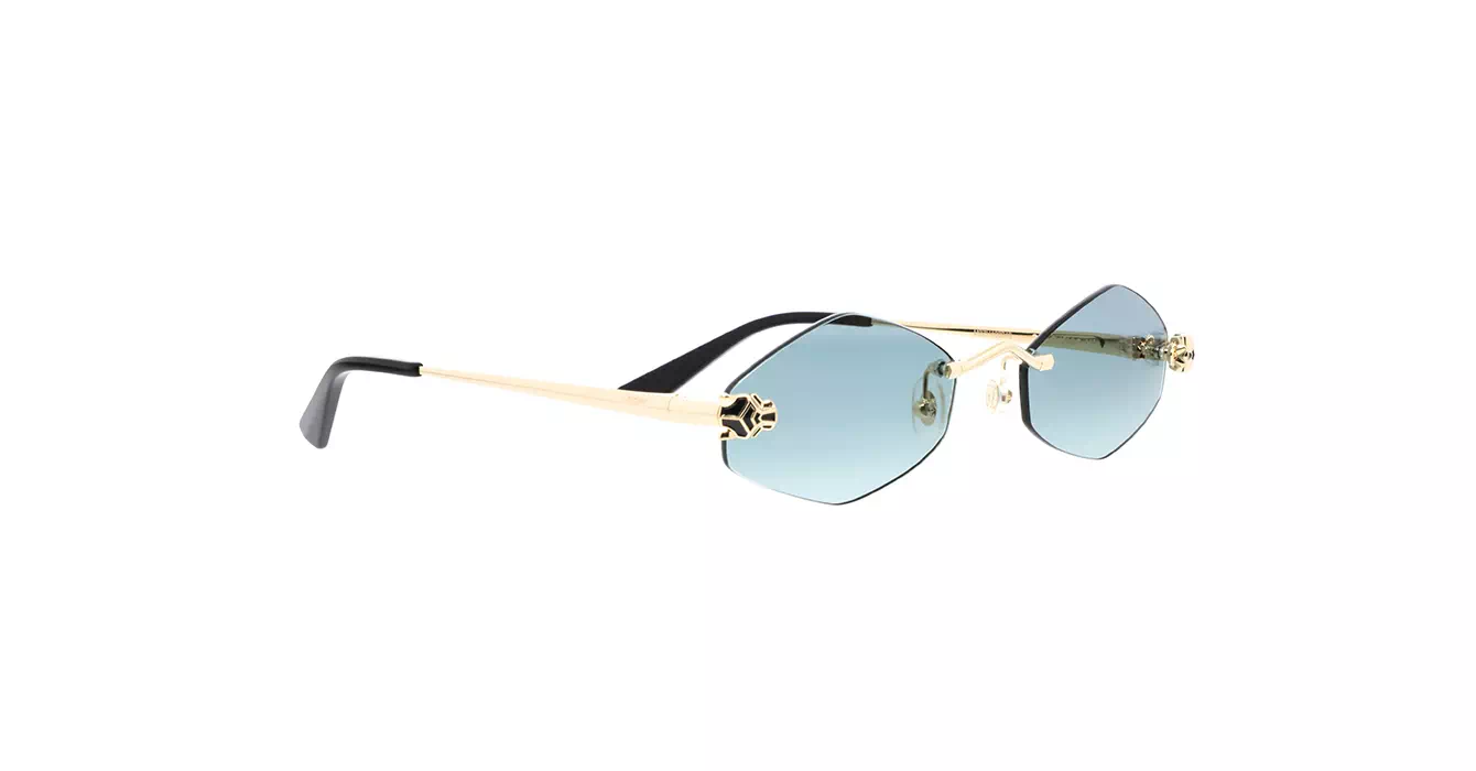 Cartier CT0433S 003 s55