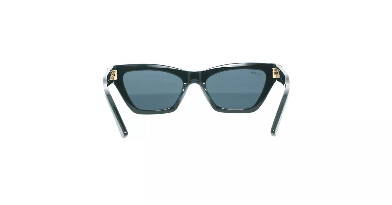 Cartier CT0437S 003 s53
