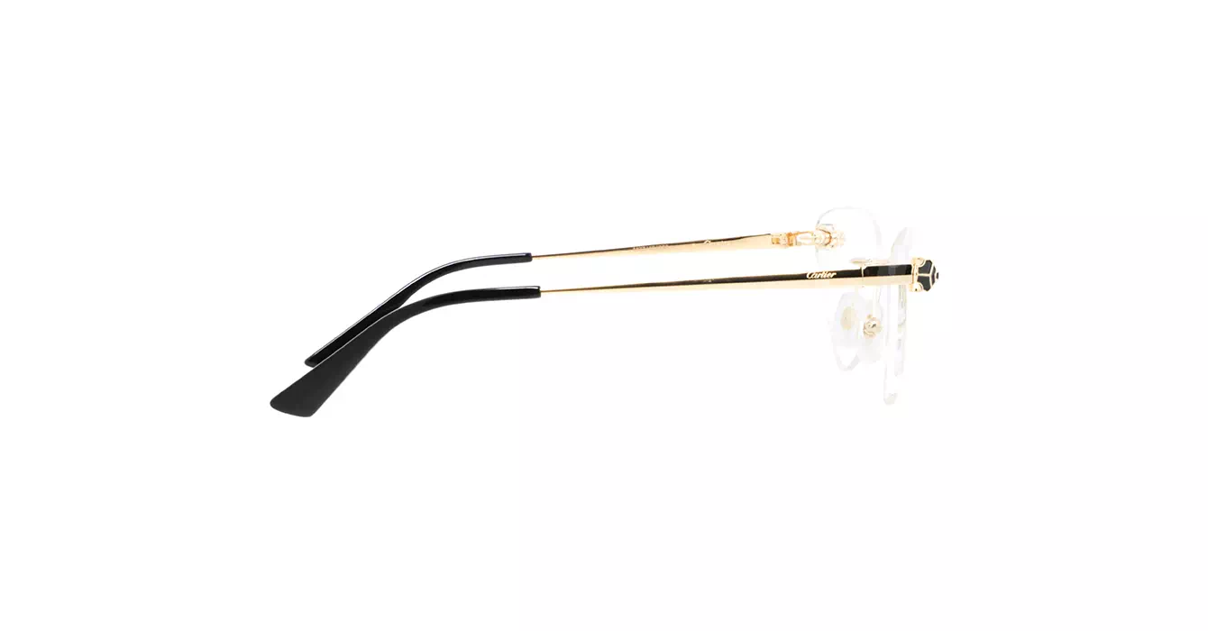 Cartier CT0448O 001 s60