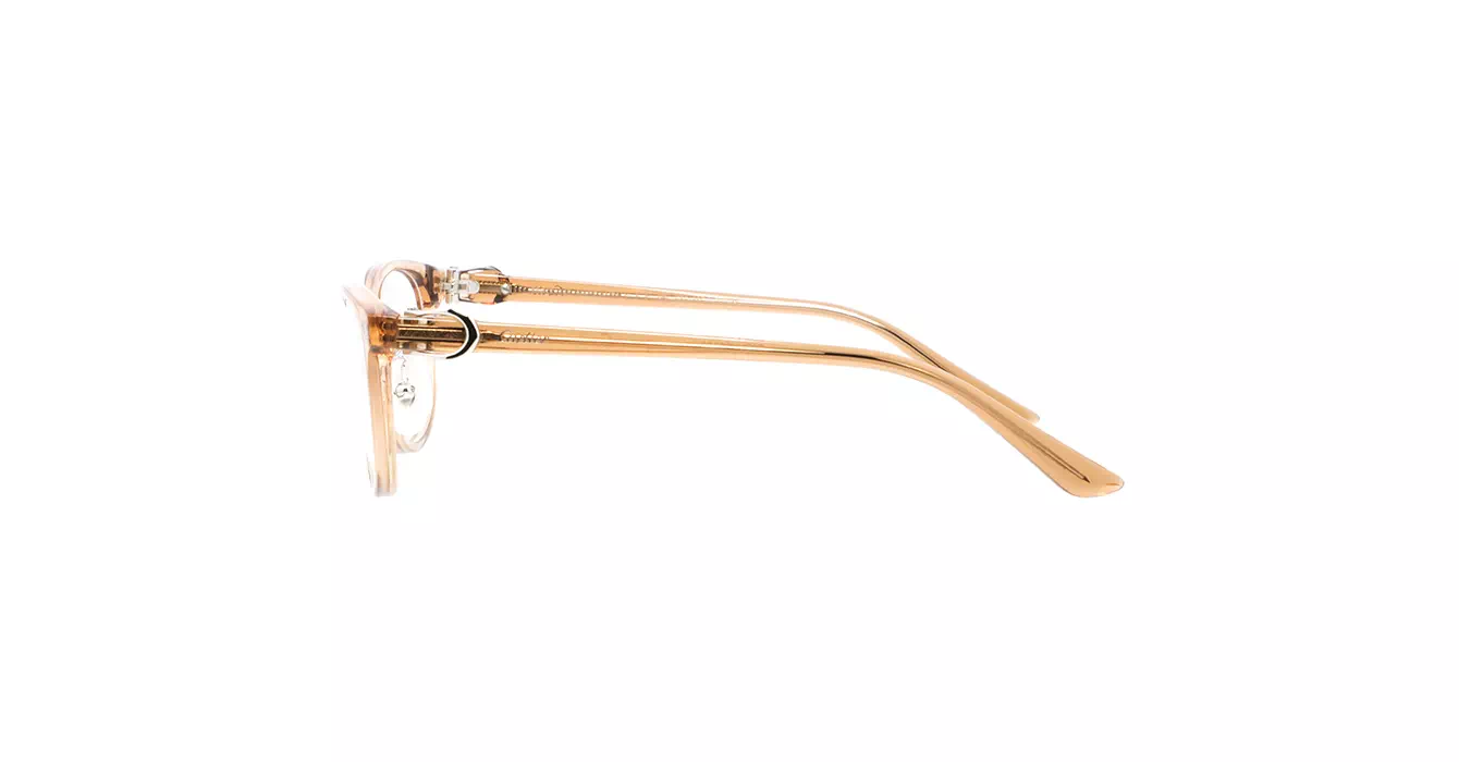 Cartier CT0456OJ 003 s53