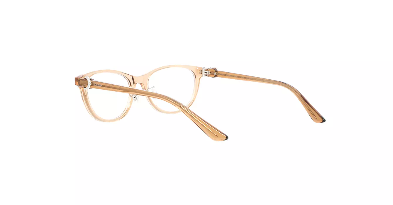 Cartier CT0456OJ 003 s53