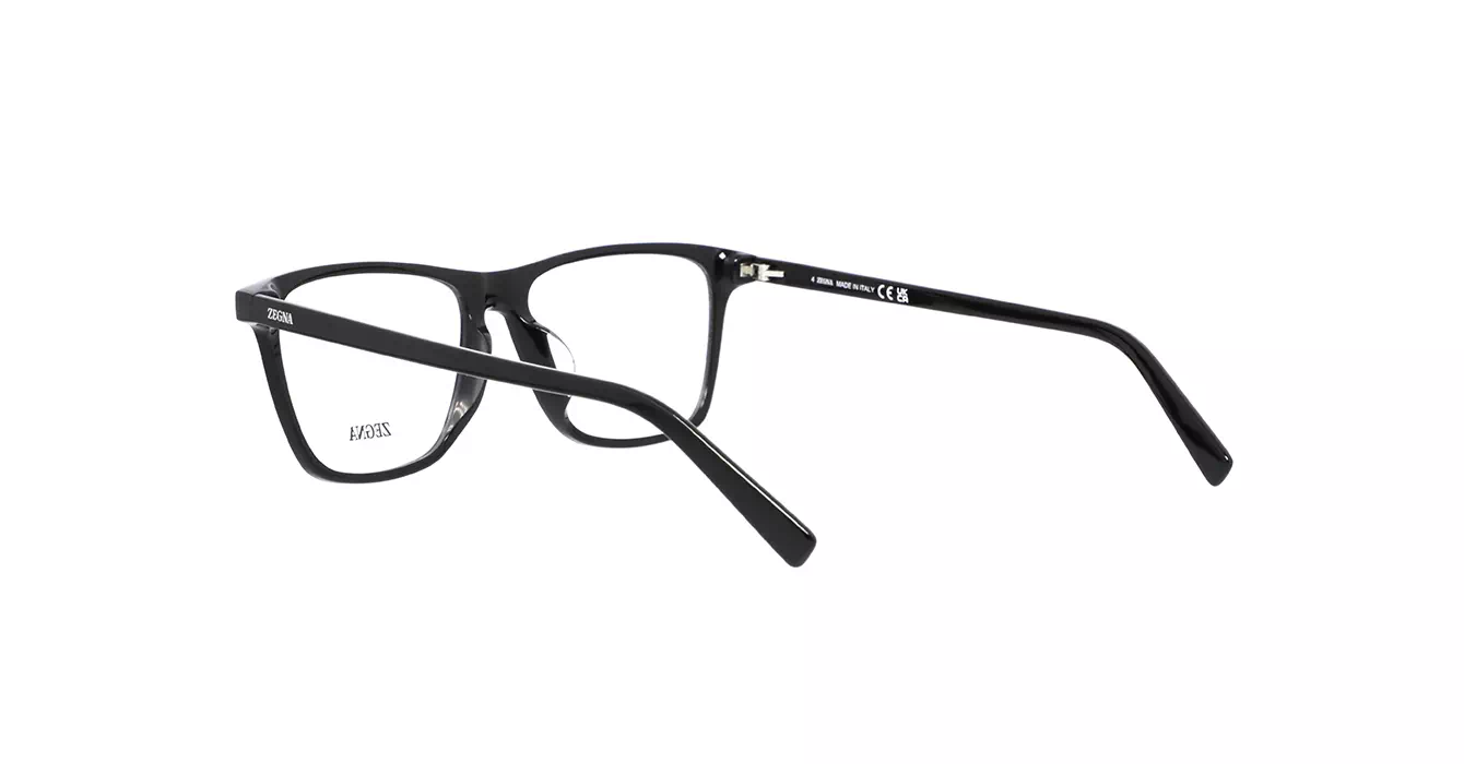 Ermenegildo Zegna EZ5275-F 001 s55