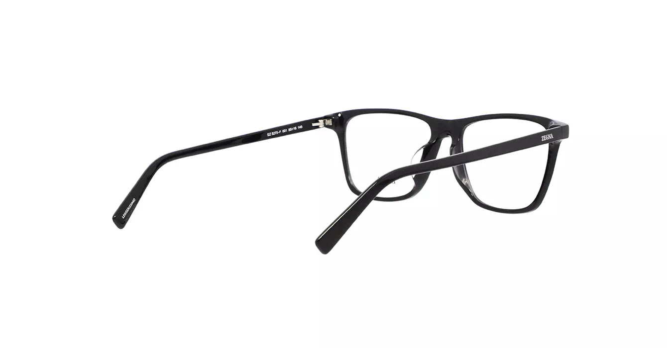 Ermenegildo Zegna EZ5275-F 001 s55