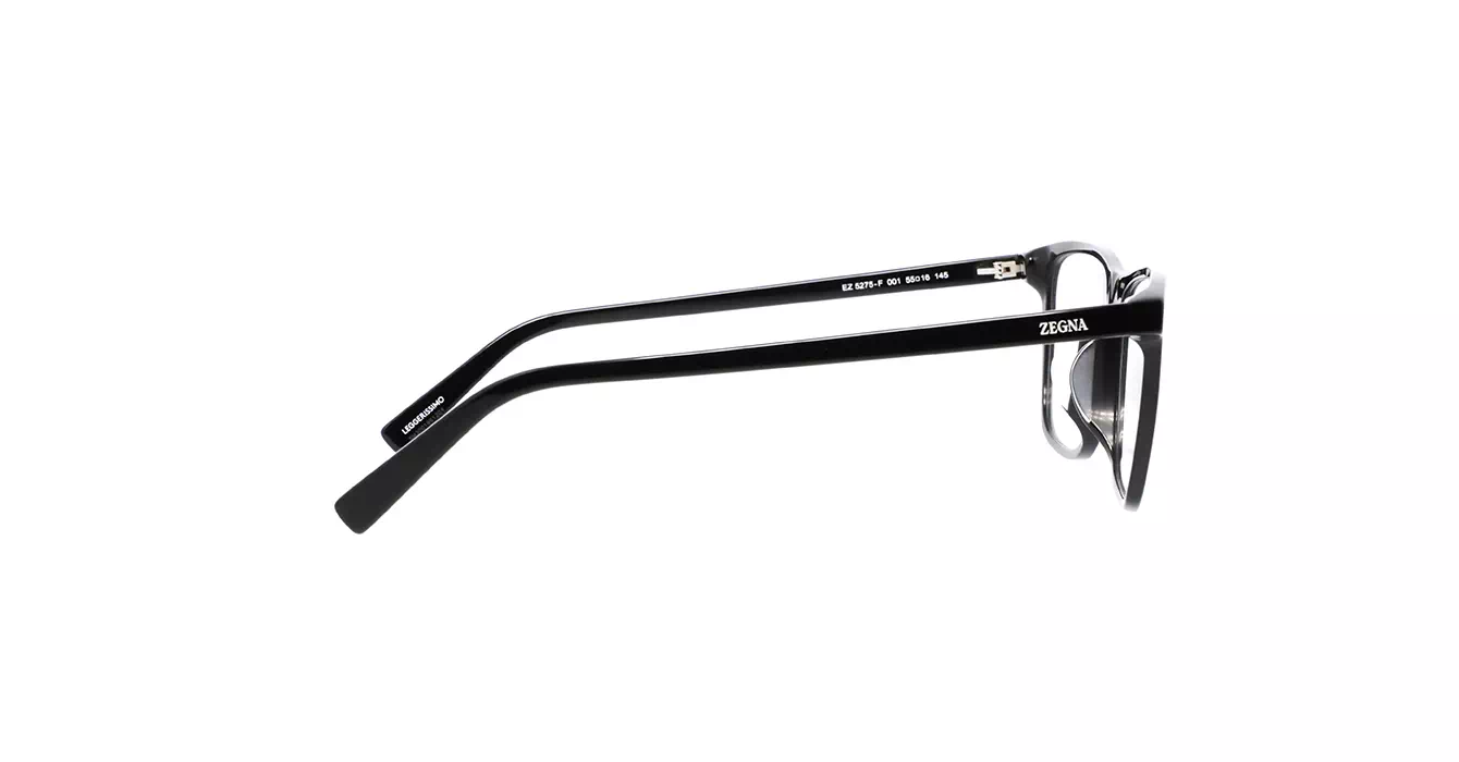 Ermenegildo Zegna EZ5275-F 001 s55