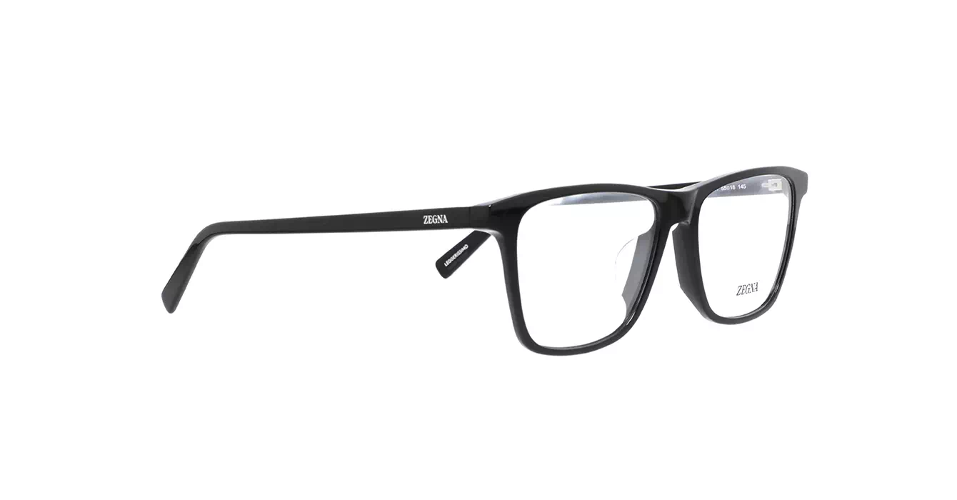 Ermenegildo Zegna EZ5275-F 001 s55
