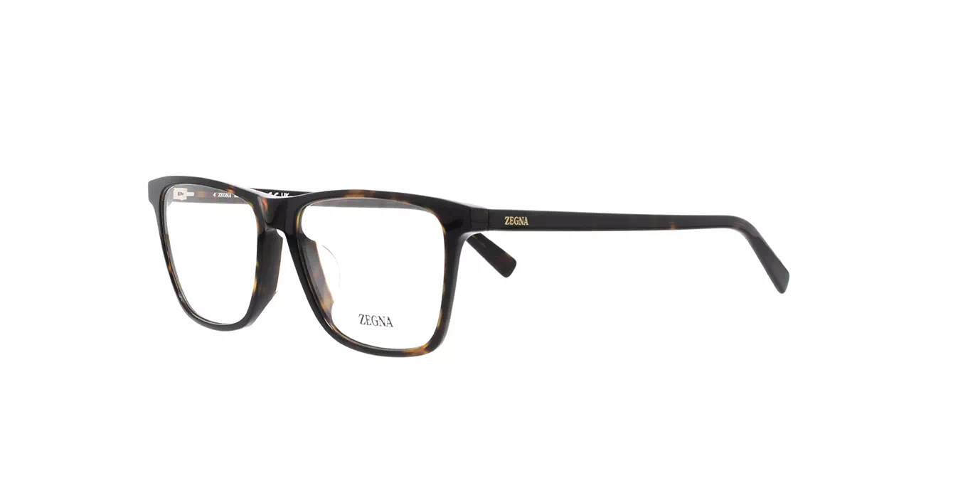 Ermenegildo Zegna EZ5275-F 052 s55