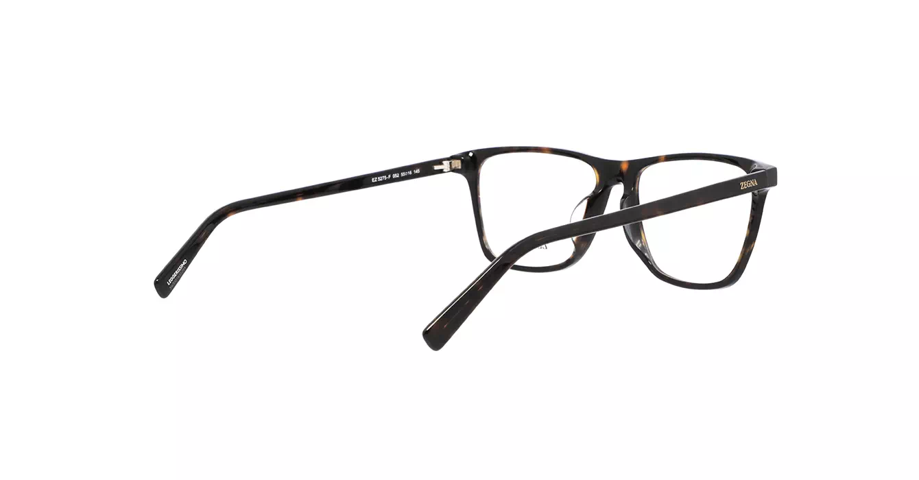 Ermenegildo Zegna EZ5275-F 052 s55