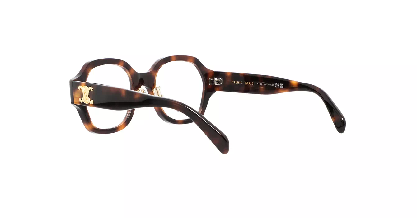 Celine CL50134F 053 s51