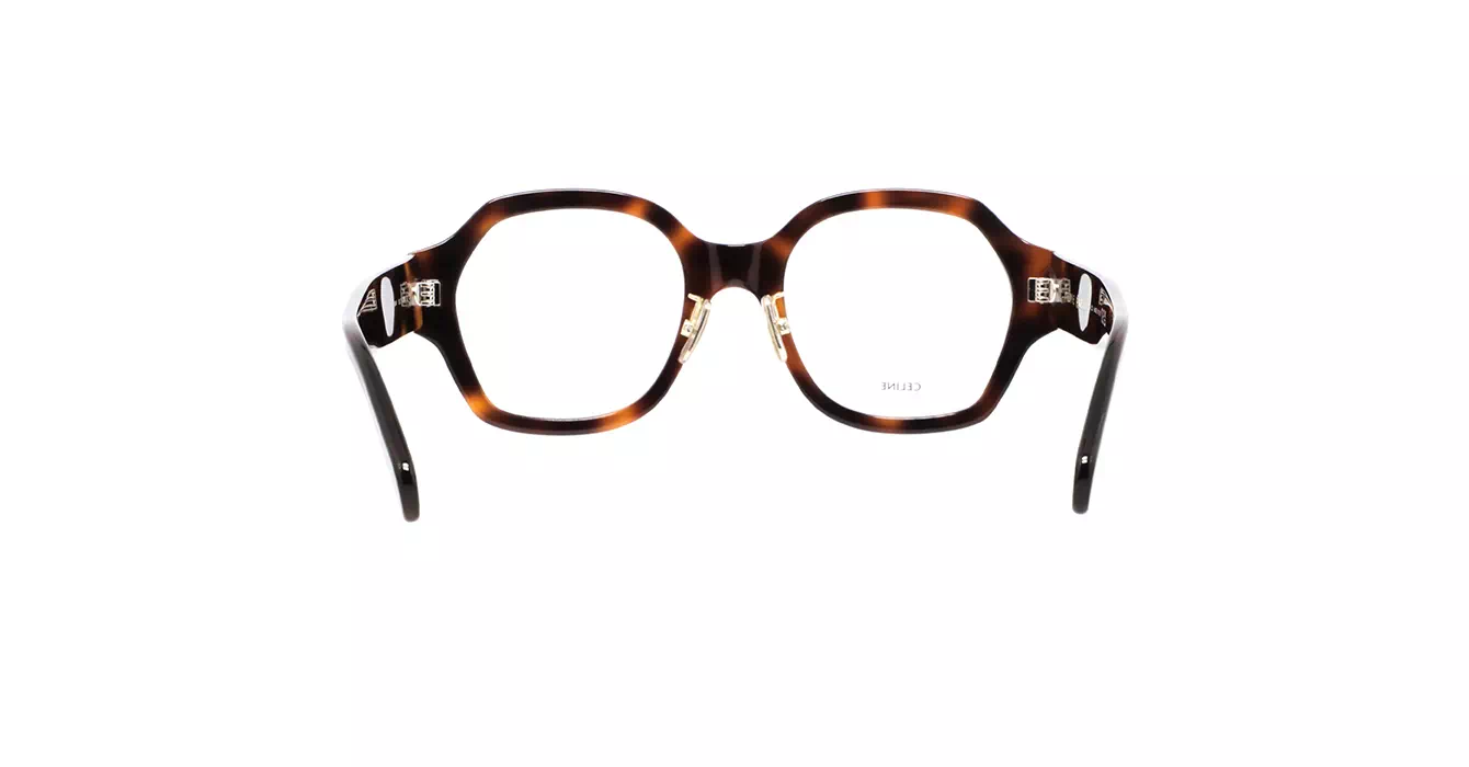 Celine CL50134F 053 s51