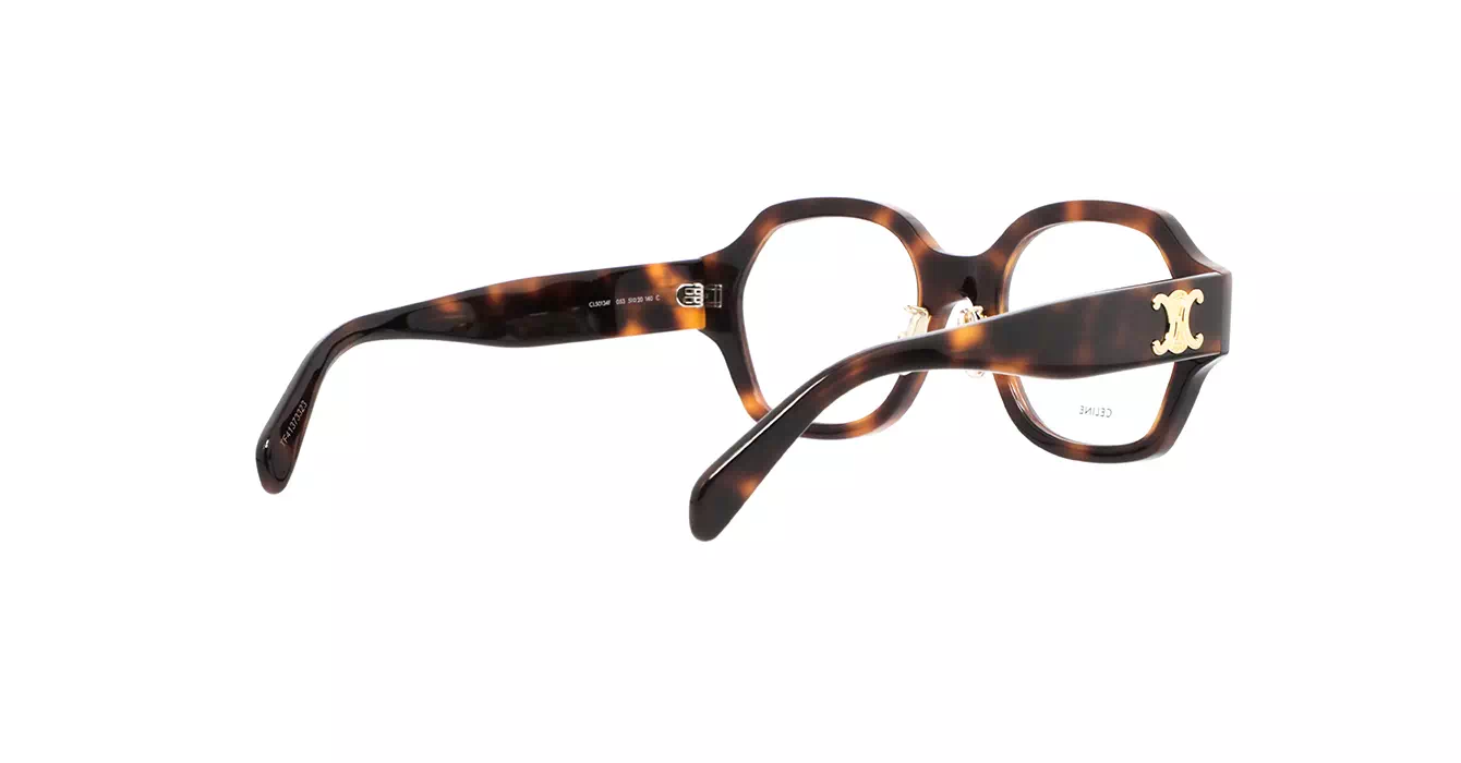 Celine CL50134F 053 s51